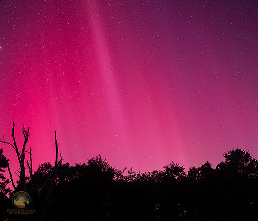 Aurora Borealis 081224 copyright ronaldzinconephotography