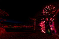 Epcot fireworks copyright ronaldzinconephotography