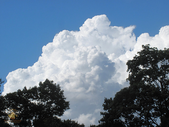 Cumulusnimbus over North Kingstown copyright ronaldzinconephotography